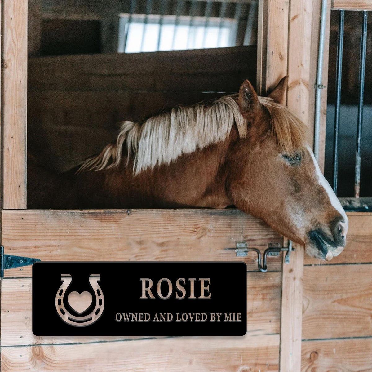 Horse Name Sign, Horseshoe Stable Name Plaque, Horse Stall Metal Sign, Horse Farm Sign, Barn Decor, Horse Stable Name Sign, Equestrian gift