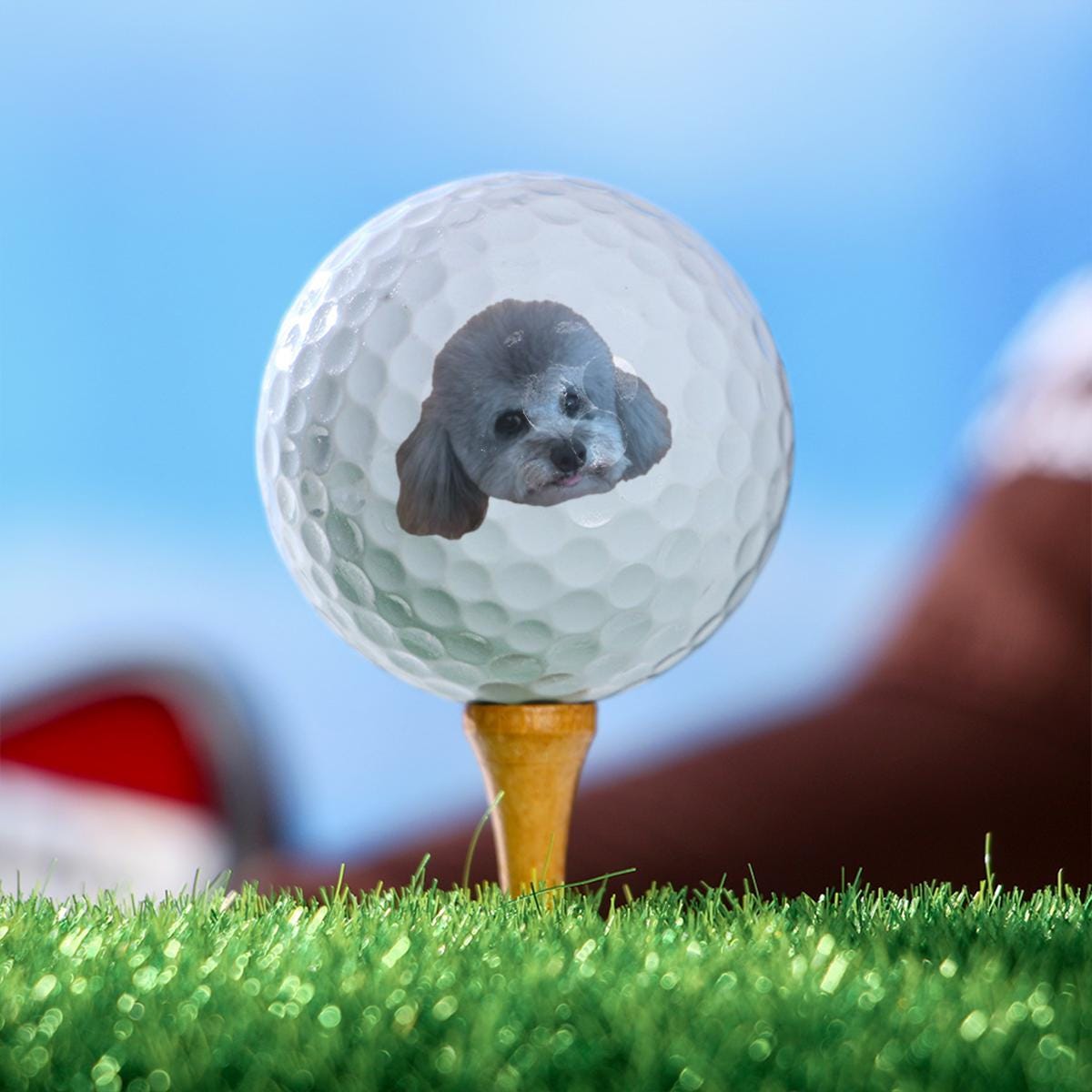 Custom Photo Golf Balls/Personalized Golf Gift/Pet Photo Golf Balls/Face Photo Golf Balls/Golf Lover Keepsake/Custom Golf Balls