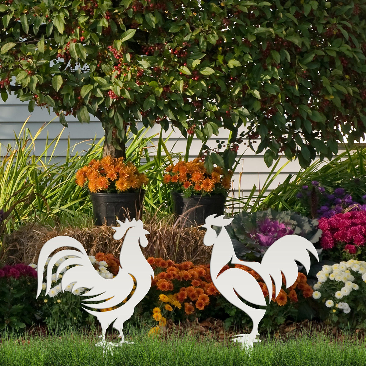 Assorted Chicken Garden Metal Yard Stakes